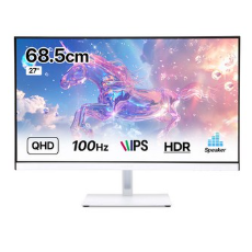인터픽셀 QHD IPS 컴퓨터 모니터 화이트 100Hz